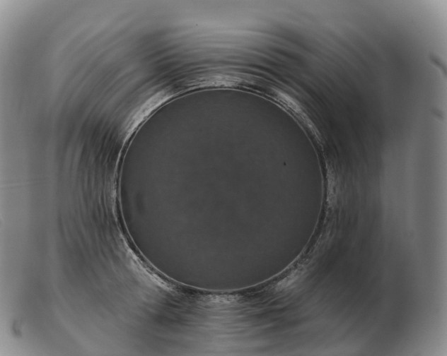 X0000103460802200809191810