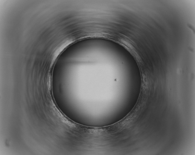 X0000103460804200809191810