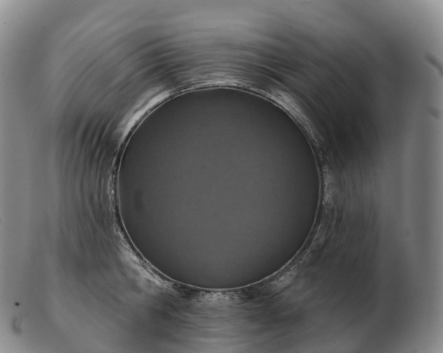 X0000103460806200809191810