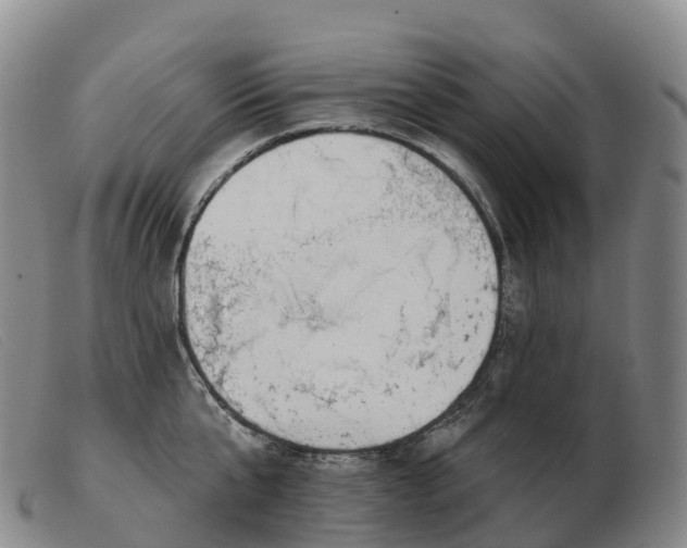 X0000103460807200809191810