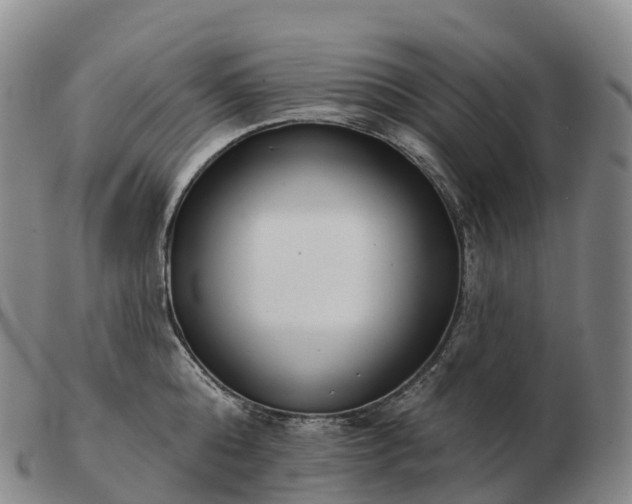X0000103460808200809191810