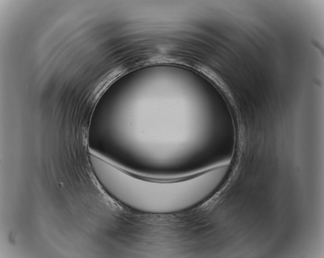 X0000103460809200809191810
