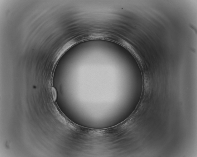 X0000103460810200809191810