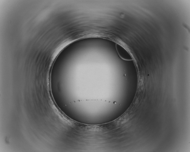 X0000103460811200809191810