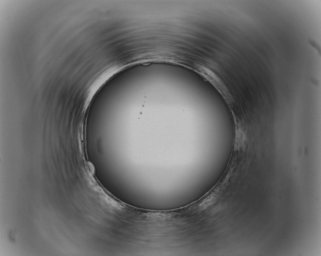 X0000103460812200809191810