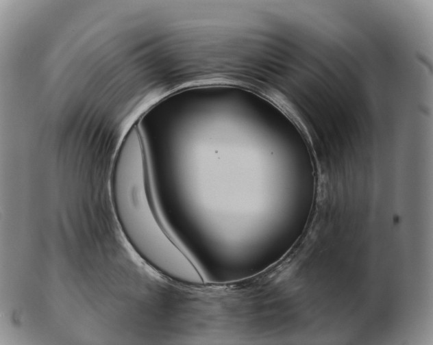 X0000103460813200809191810