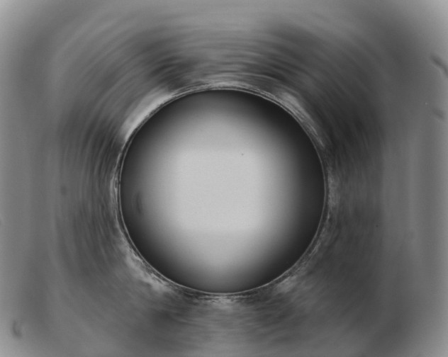 X0000103460814200809191810