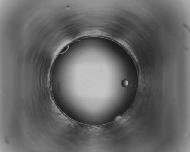 X0000103460815200809191810