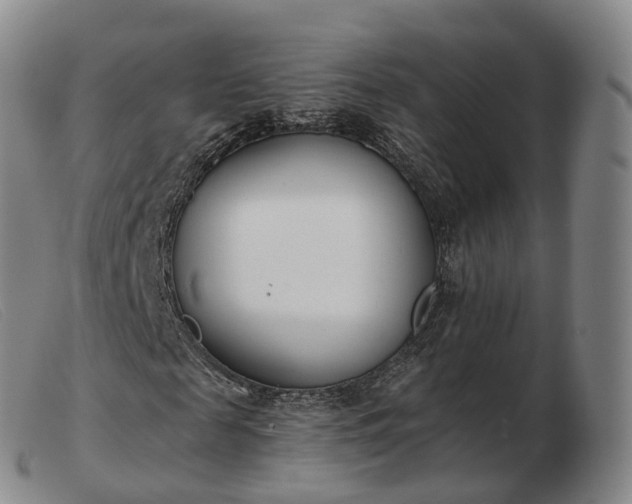 X0000103460817200809191809