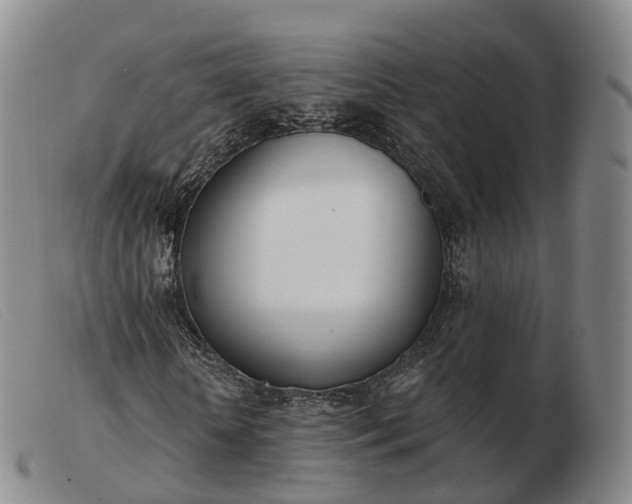 X0000103460818200809191809