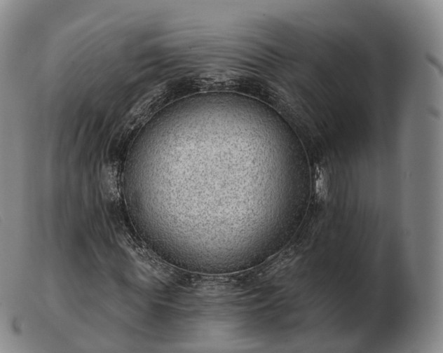 X0000103460819200809191809
