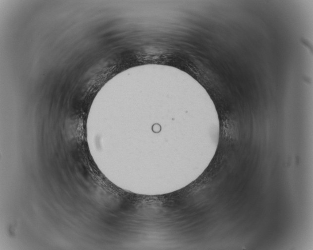 X0000103460820200809191809