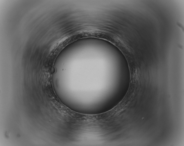 X0000103460822200809191809