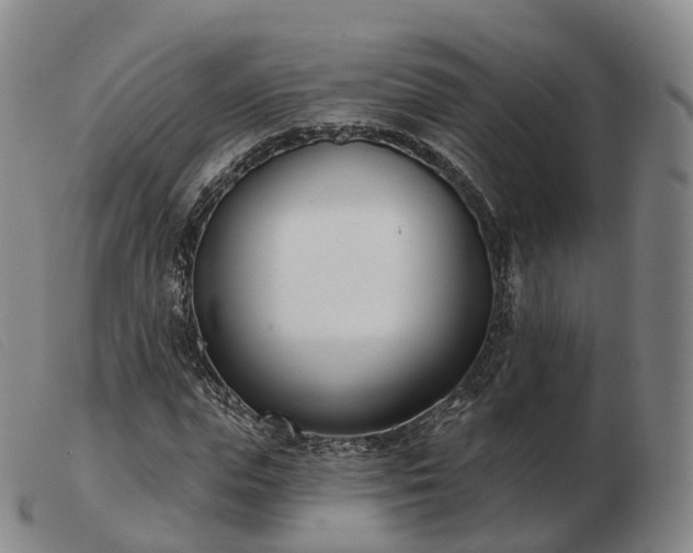 X0000103460823200809191809