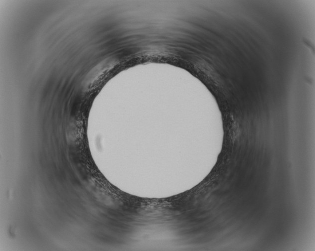 X0000103460824200809191809