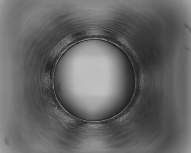 X0000103460825200809191809