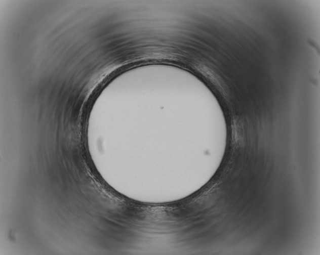 X0000103460828200809191809