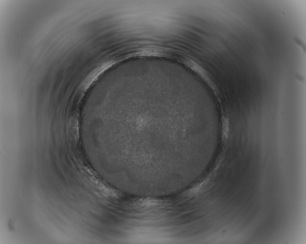 X0000103460829200809191809