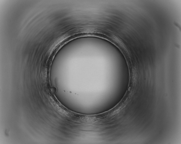 X0000103460831200809191809