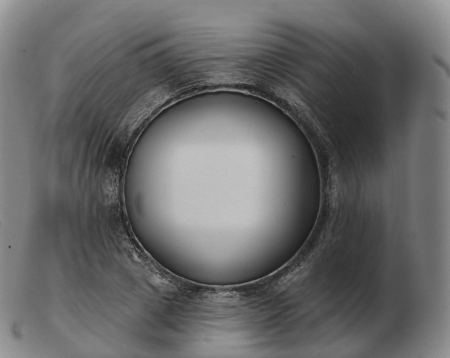 X0000103460833200809191809