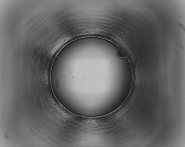 X0000103460834200809191809
