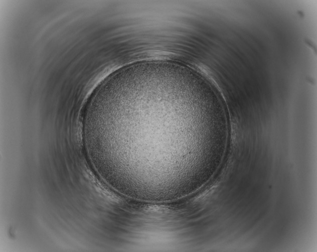 X0000103460835200809191809