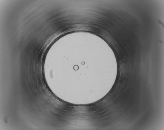 X0000103460836200809191809