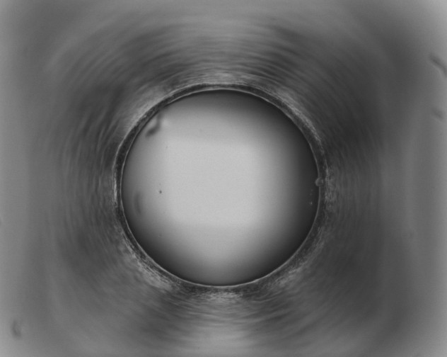 X0000103460837200809191809