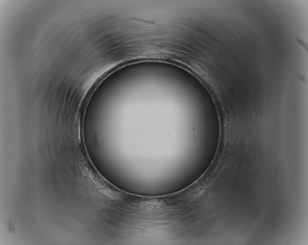 X0000103460838200809191809