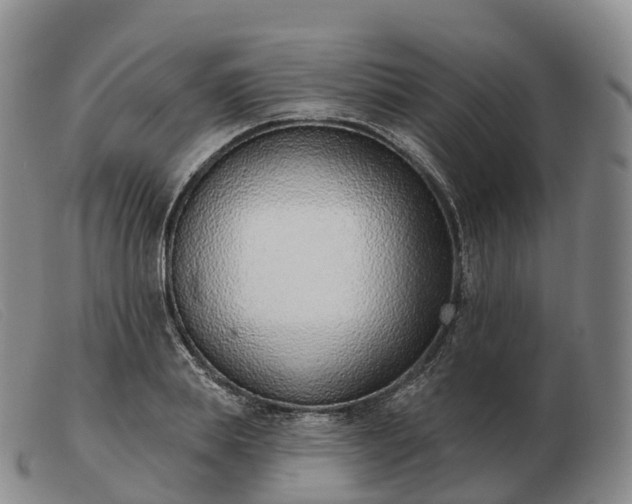 X0000103460839200809191809