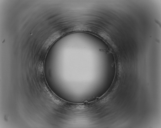 X0000103460841200809191810
