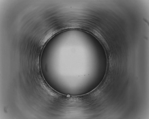 X0000103460842200809191810