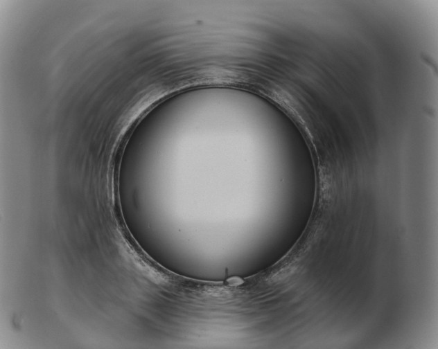 X0000103460843200809191810