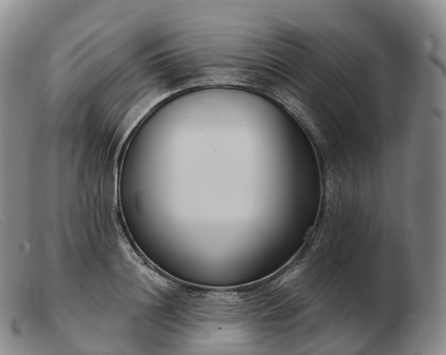 X0000103460844200809191810