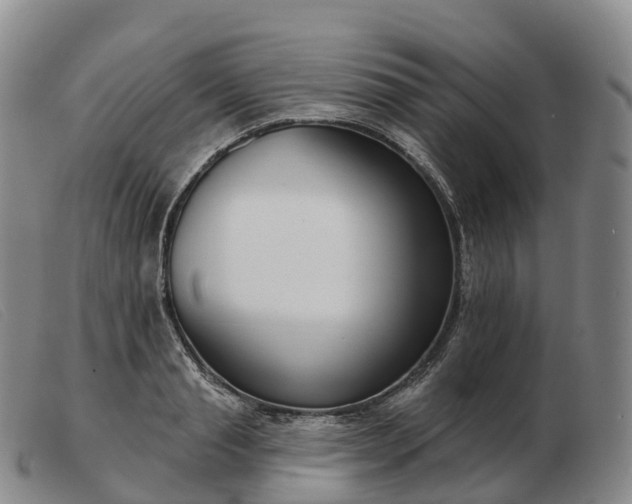 X0000103460845200809191810