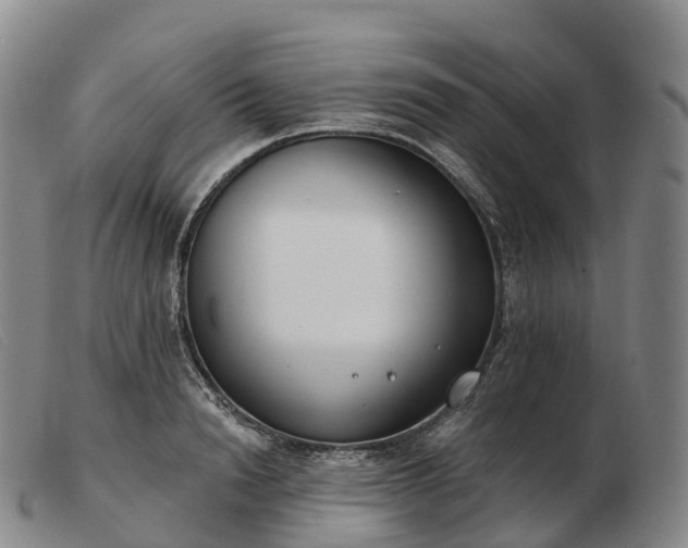 X0000103460846200809191810