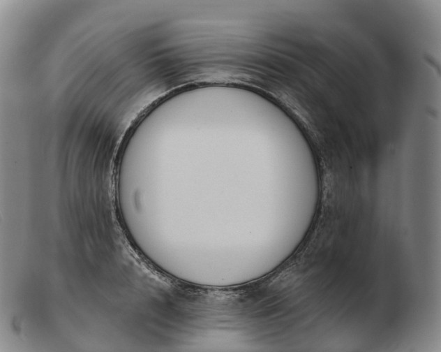 X0000103460848200809191810