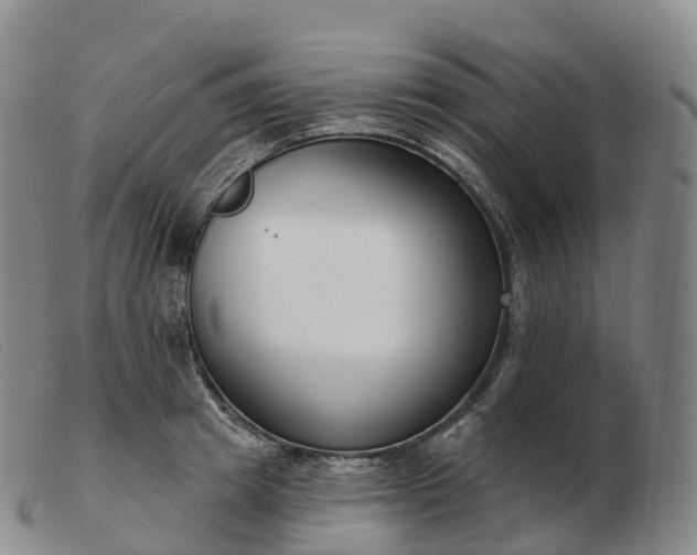 X0000103460849200809191810