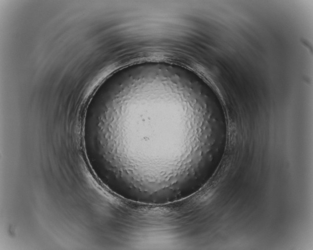 X0000103460851200809191810