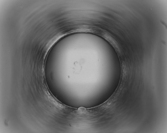 X0000103460852200809191810