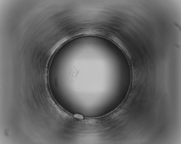 X0000103460853200809191810