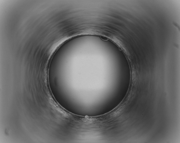 X0000103460854200809191810