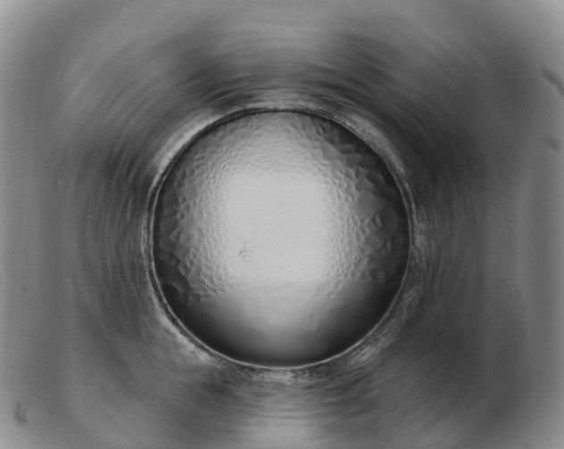 X0000103460855200809191810