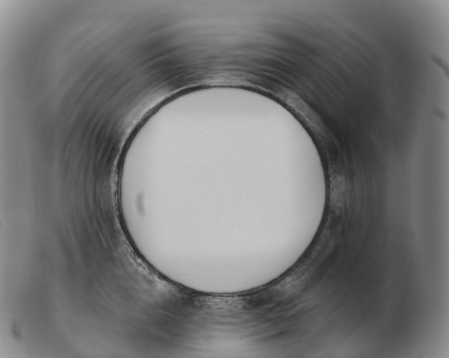 X0000103460856200809191810