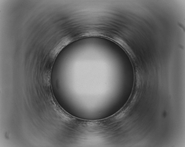 X0000103460857200809191810