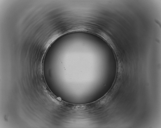 X0000103460858200809191810