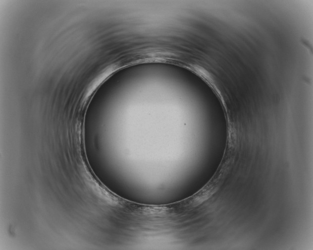 X0000103460859200809191810