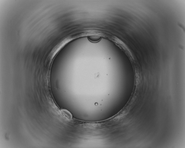X0000103460860200809191810