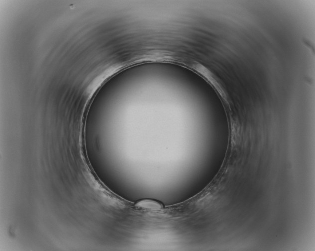 X0000103460861200809191810