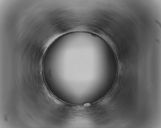 X0000103460862200809191810